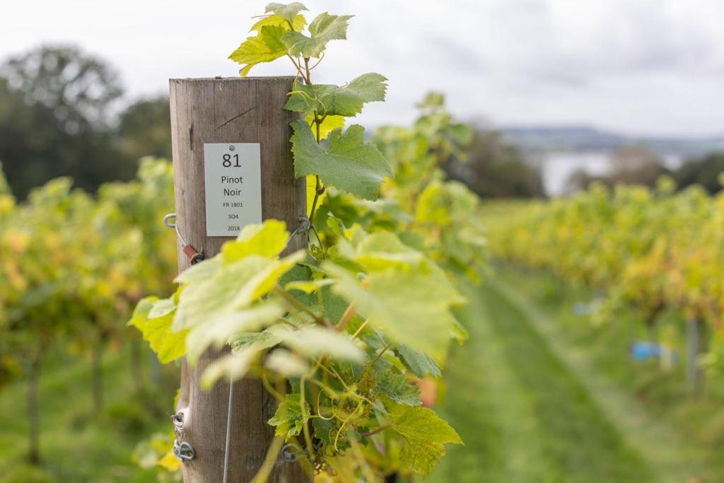 Lympstone Manor Hotel Restaurant & Vineyard - Relais & Chateaux Exmouth Exterior foto