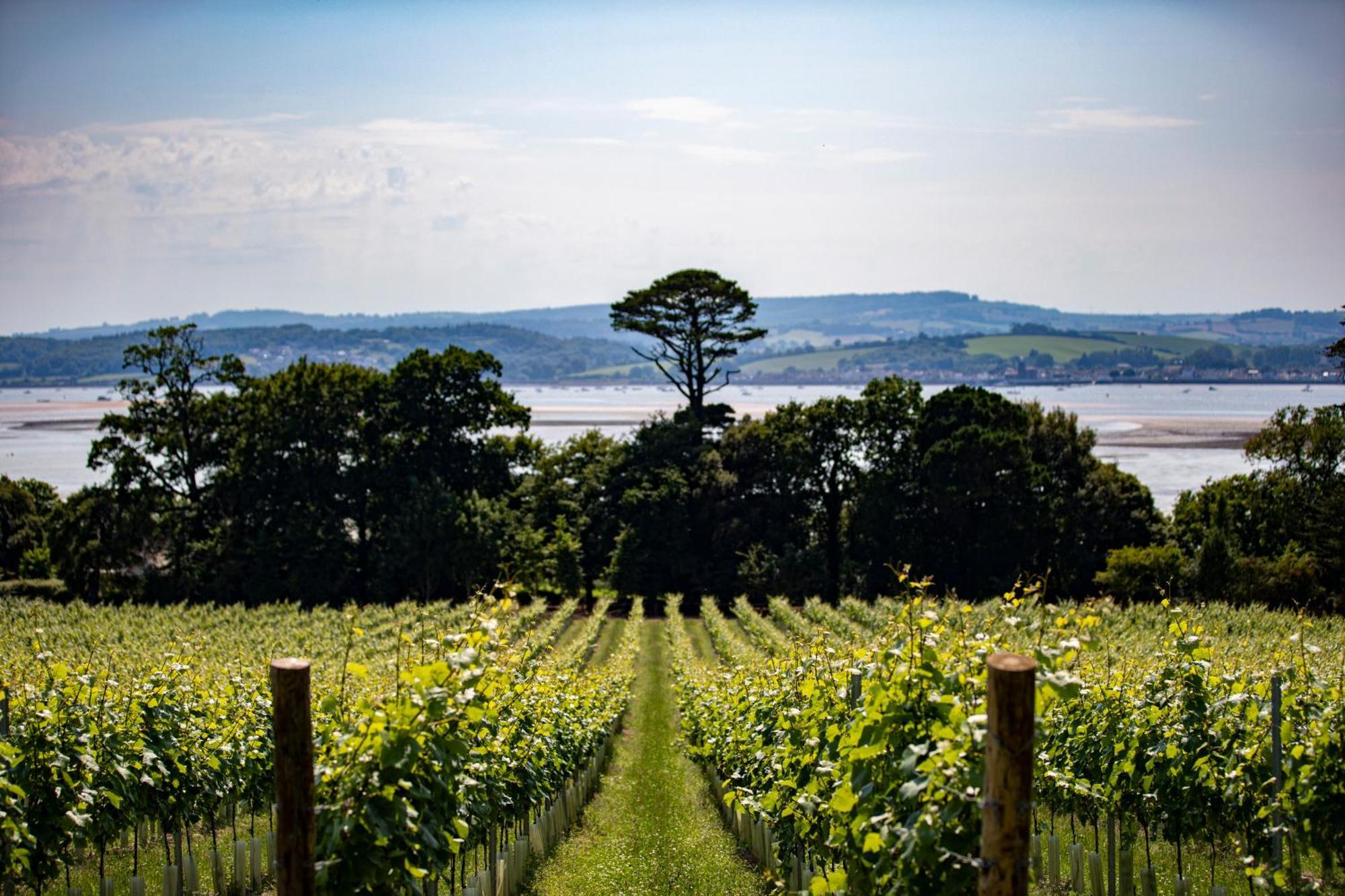Lympstone Manor Hotel Restaurant & Vineyard - Relais & Chateaux Exmouth Exterior foto